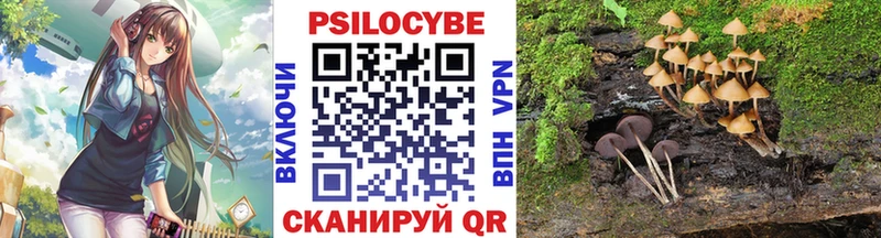 магазин    Мамоново  площадка как зайти  Псилоцибиновые грибы GOLDEN TEACHER 